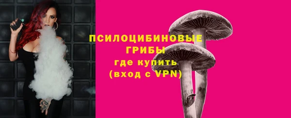 тгк Армянск